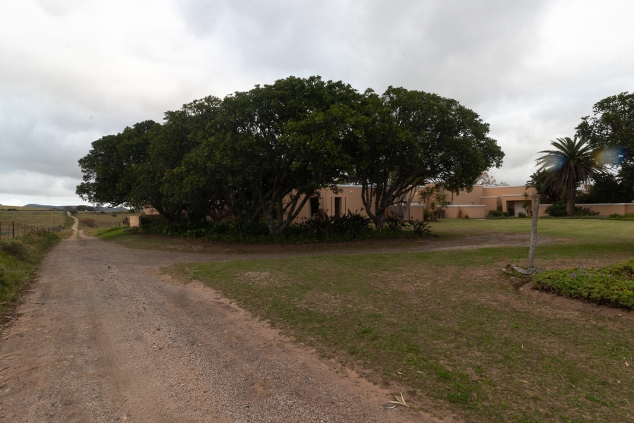 3 Bedroom Property for Sale in Alexandria Eastern Cape